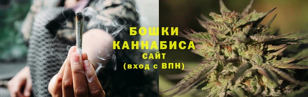 винт Белокуриха
