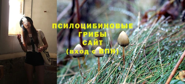ECSTASY Белоозёрский