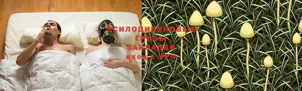 винт Белокуриха