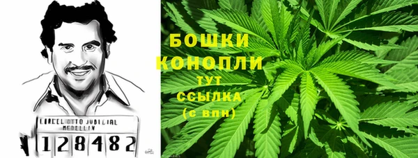 винт Белокуриха