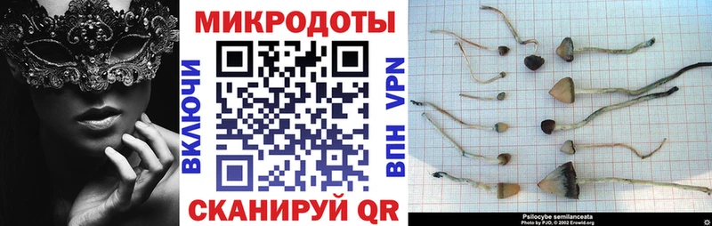 Галлюциногенные грибы Magic Shrooms kraken как зайти Электрогорск